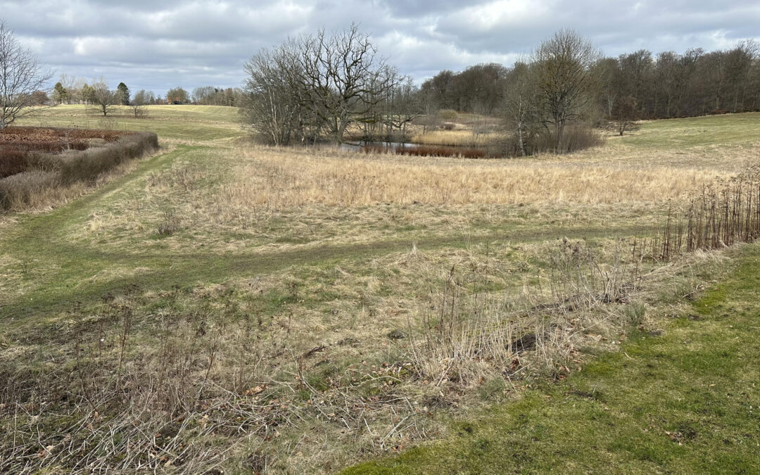 Høslet i næste uge