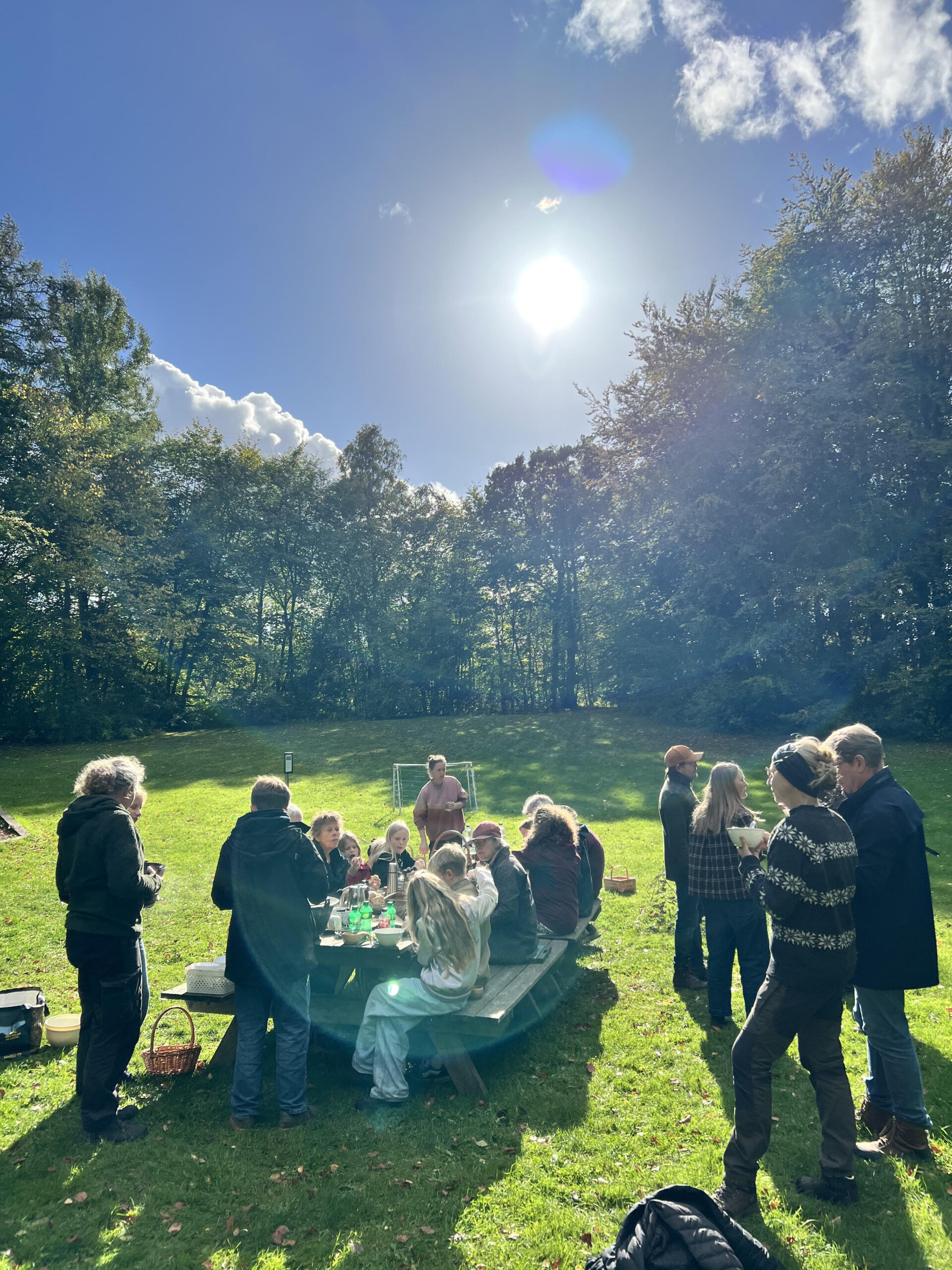 Svampetur med masser af sol – og svampe