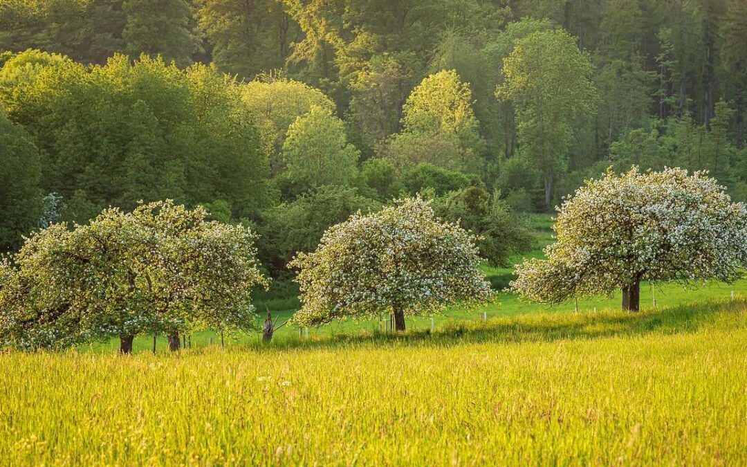 Beboermøde 30.10.2024